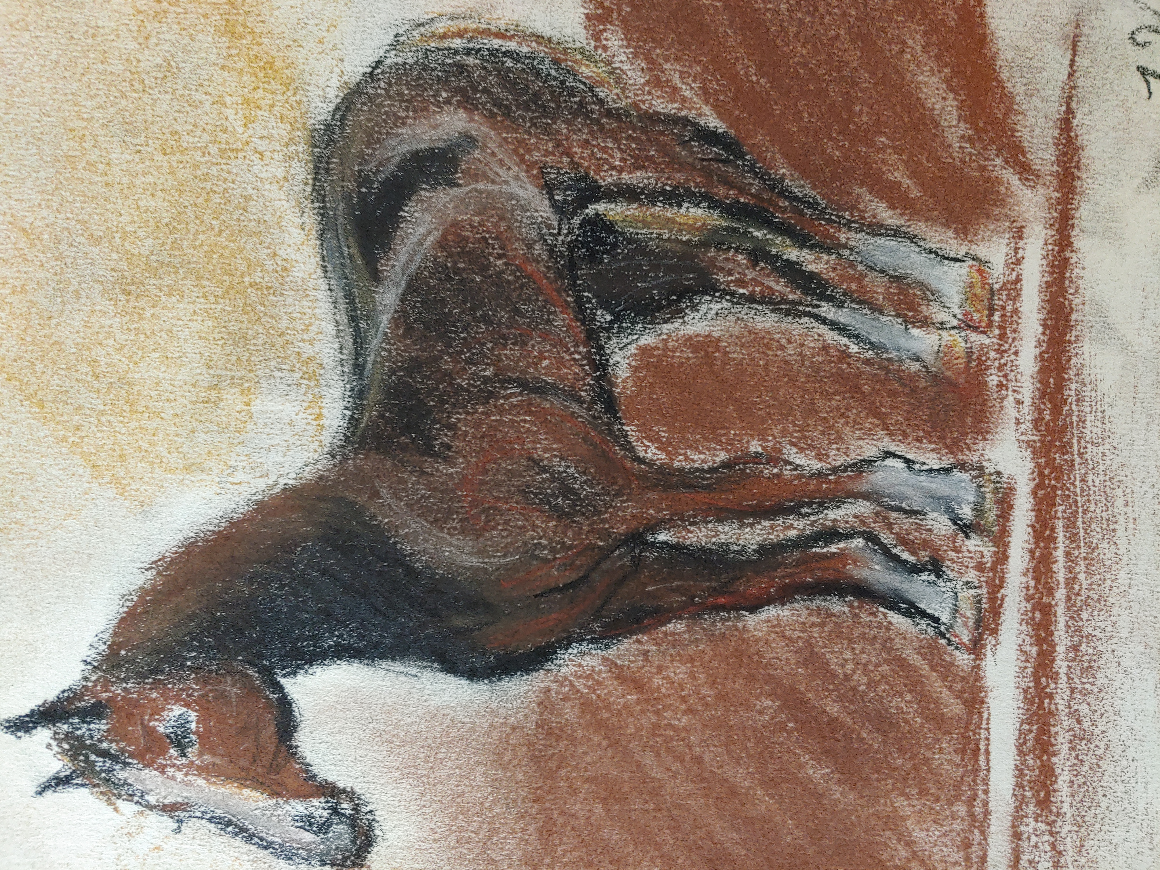 Bay Horse