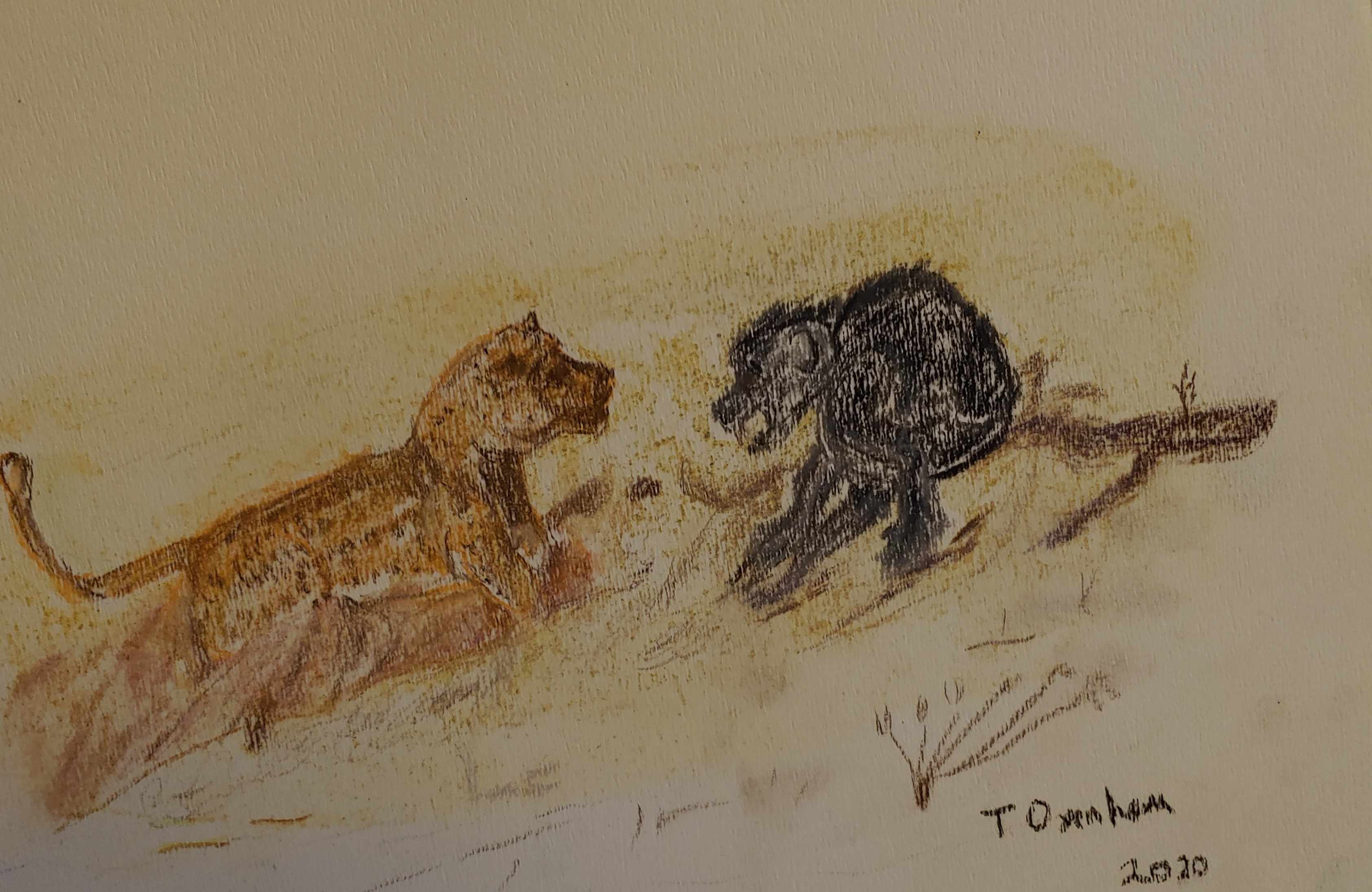 Mortal Enemies: Life & Death in the Kalahari
