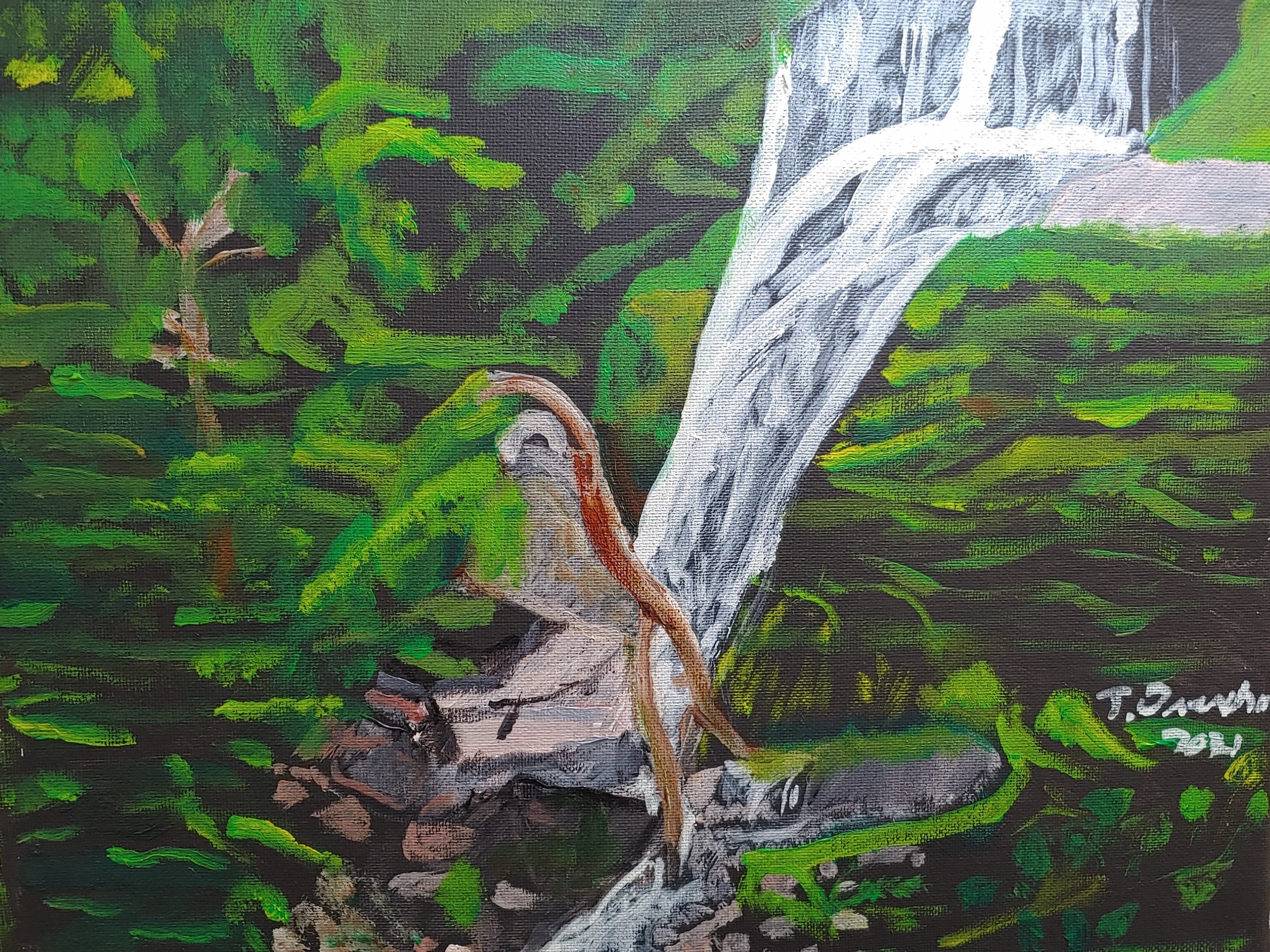 Crabtree Falls (Nelson County, VA)