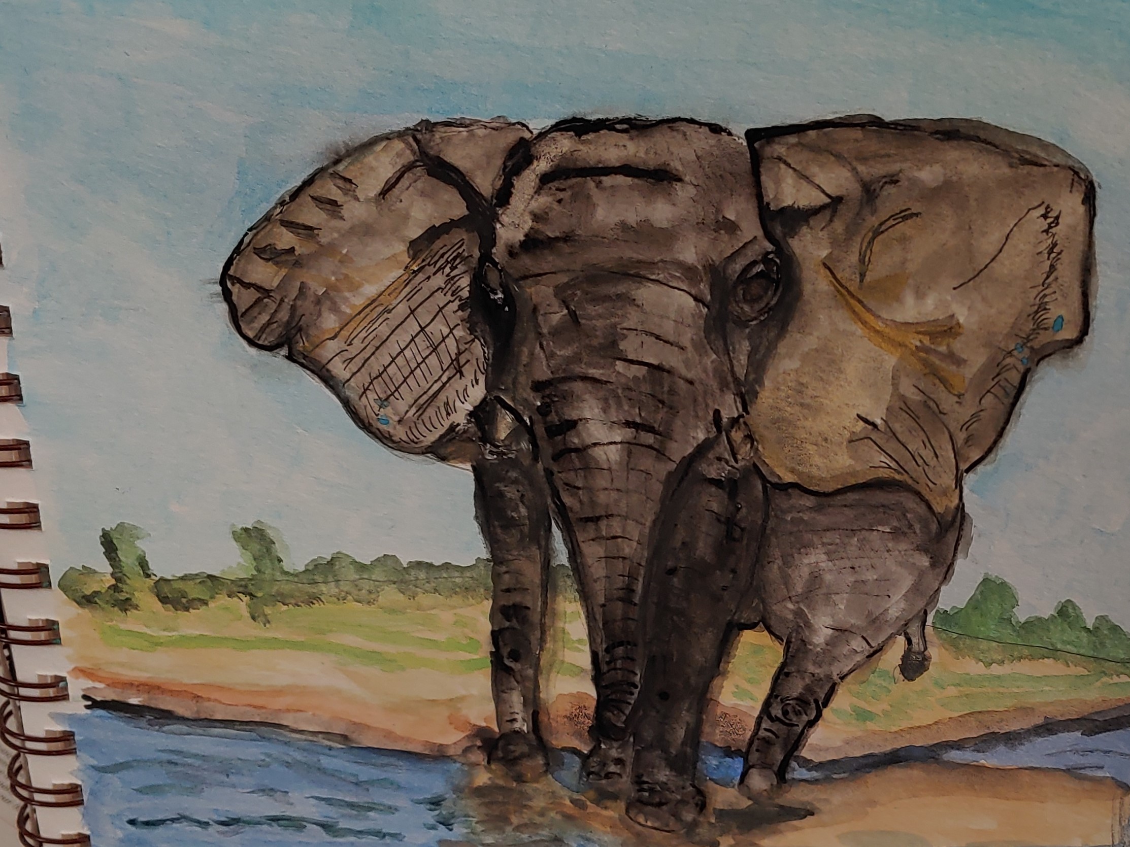 Elephant at Water Hole