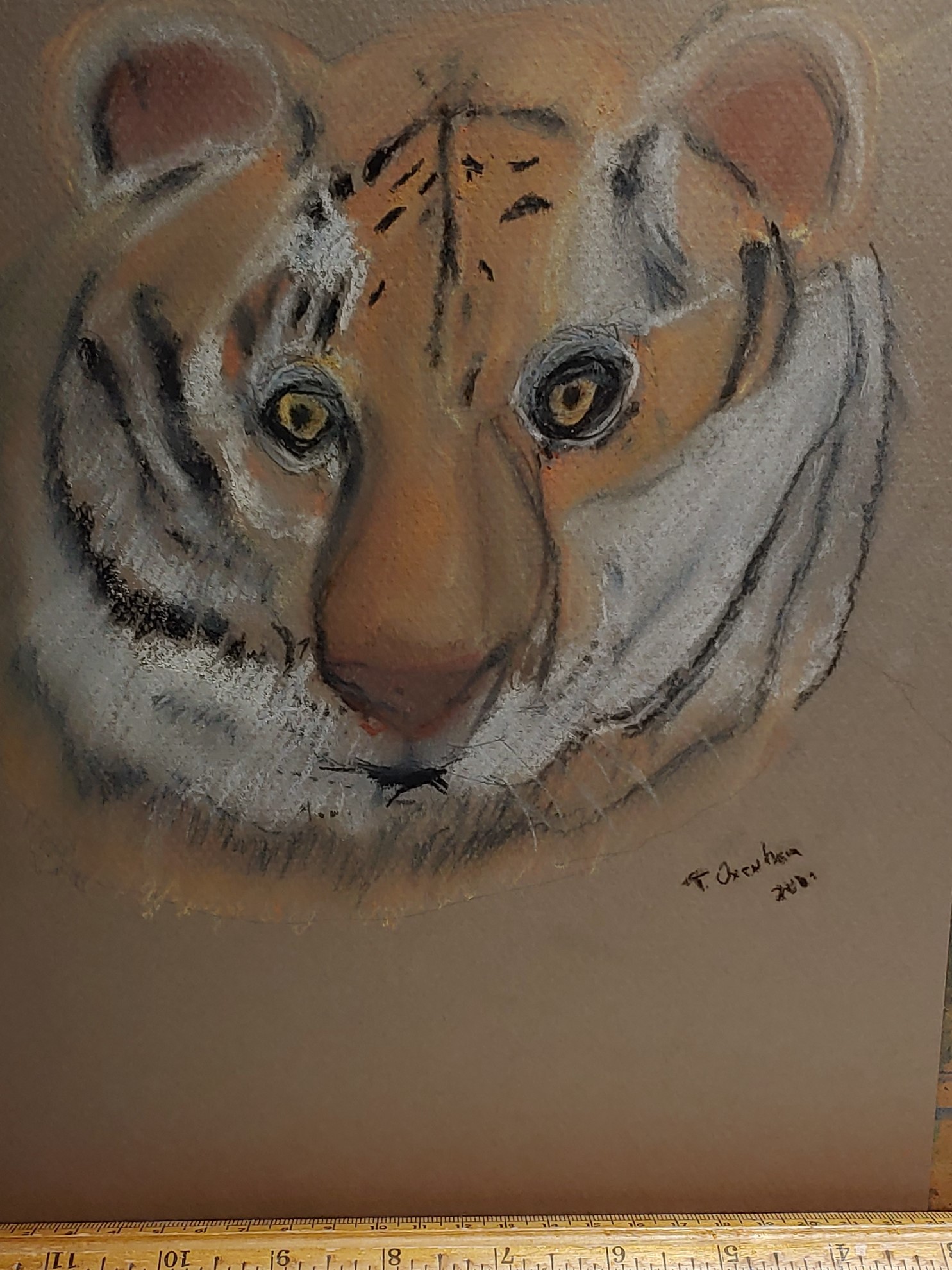 Tiger2