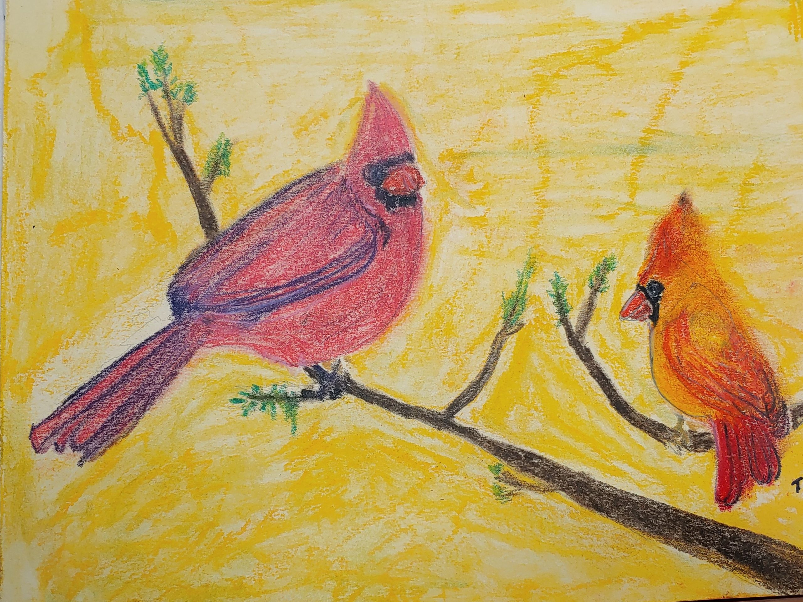 Cardinals